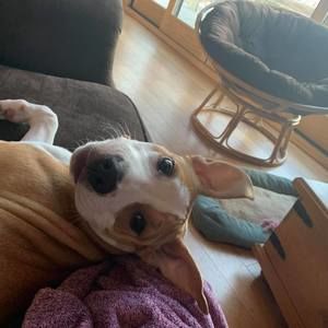 Meet your Posher, Tanya